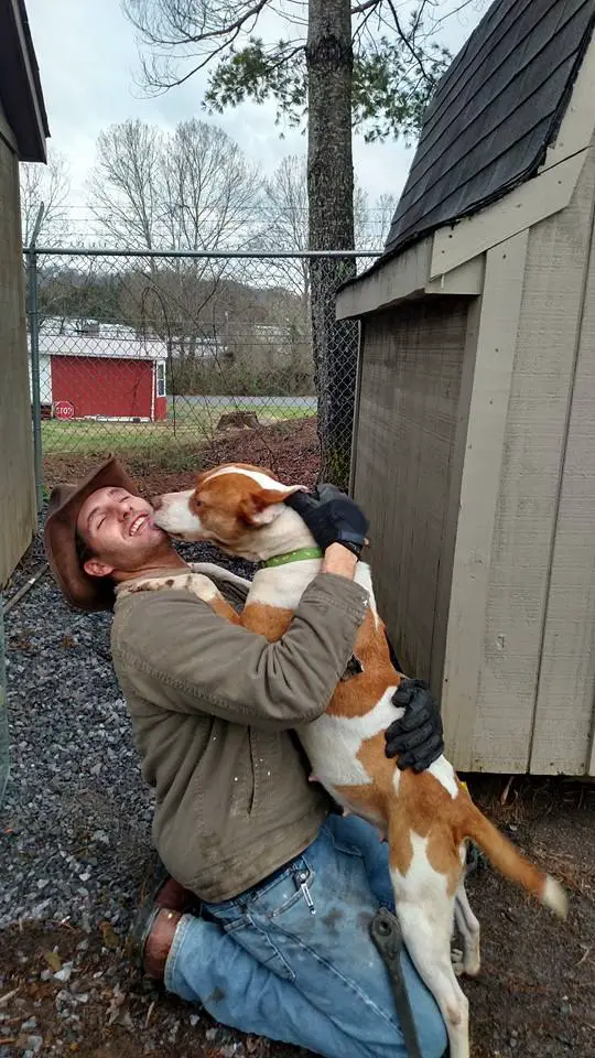 dog stuck under shed