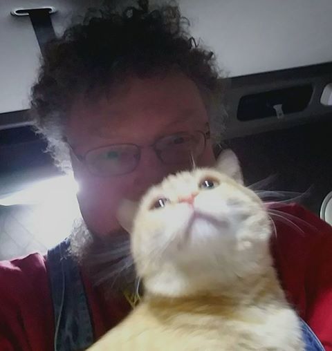 trucker finds cat