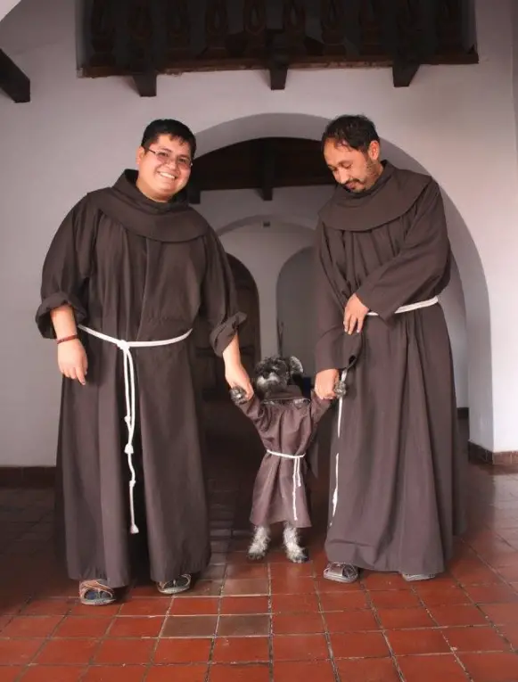 dog friar