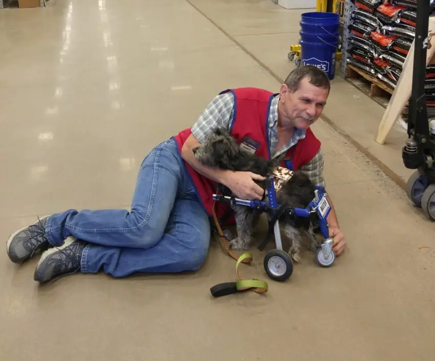 dog and employee