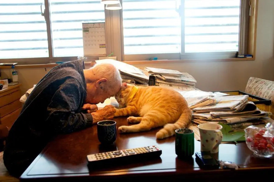 cat and grandpa