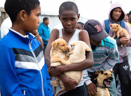 boy and puppy