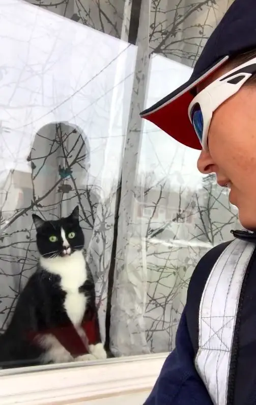 cat greets mail carrier