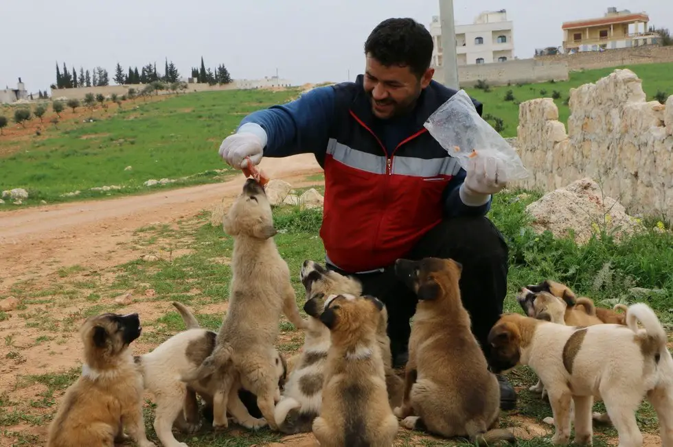 man rescues animals