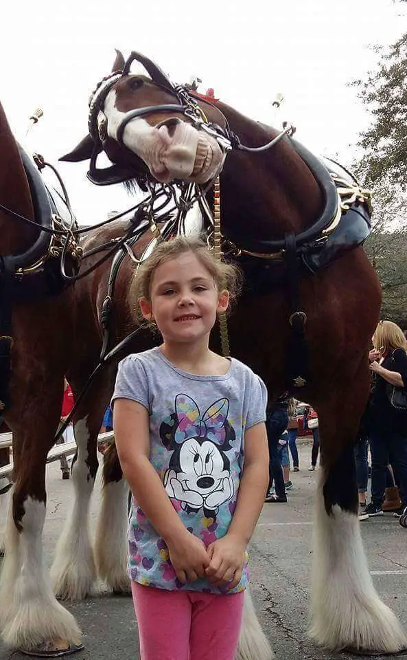 girl and horse