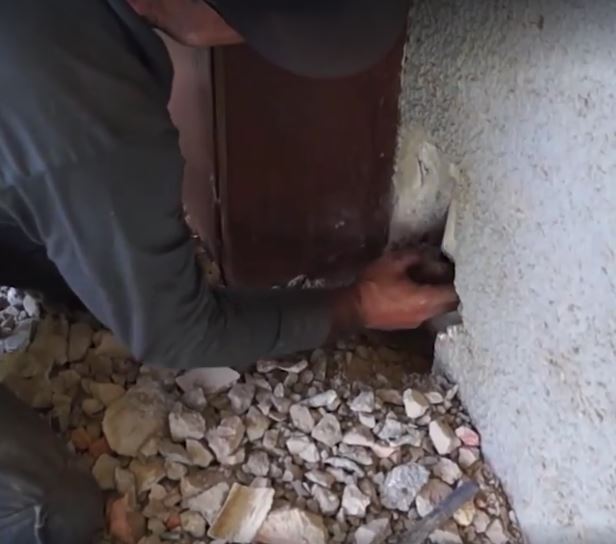 kitten in drainpipe