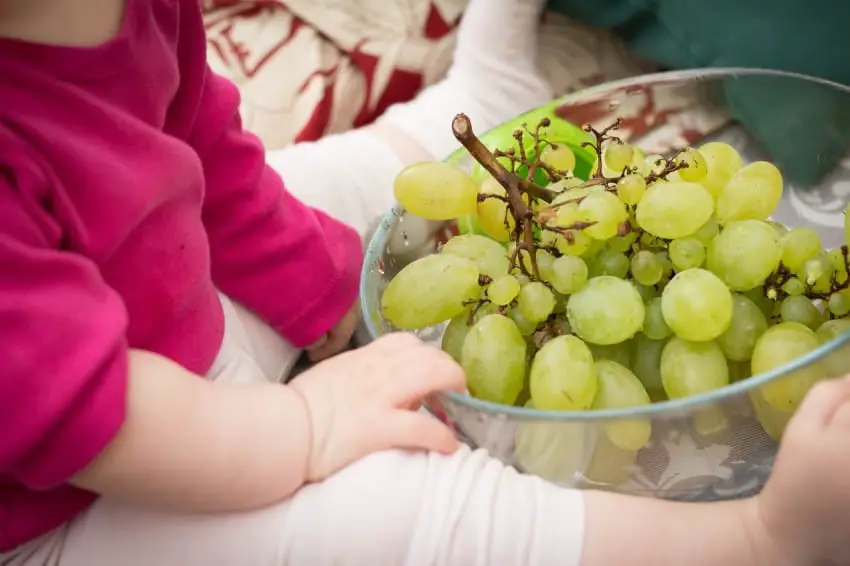 grape and young child