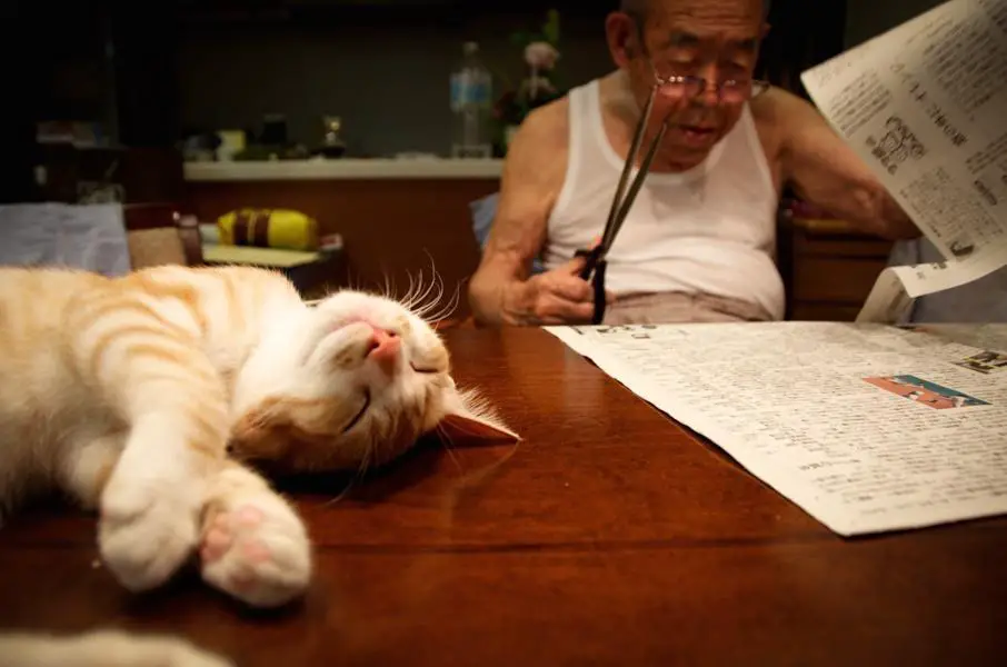 cat and grandpa