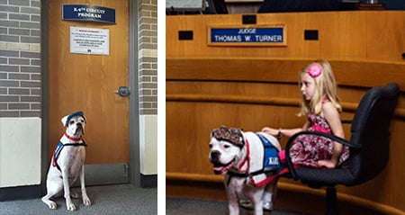 deaf dog and little girl