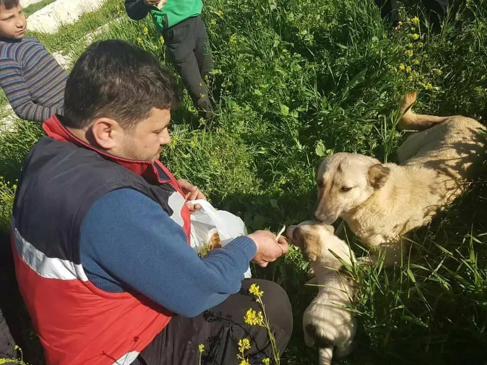 man rescues animals