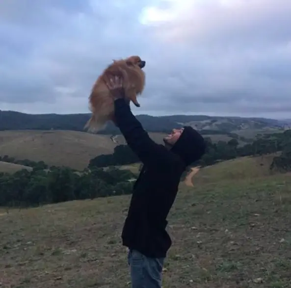 man rescues puppies