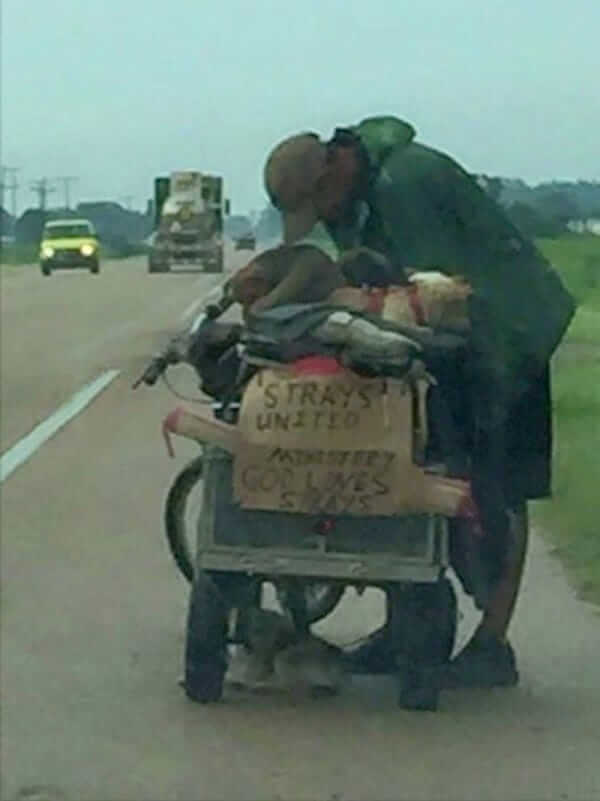 homeless man and stray dogs