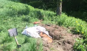 dog buried alive
