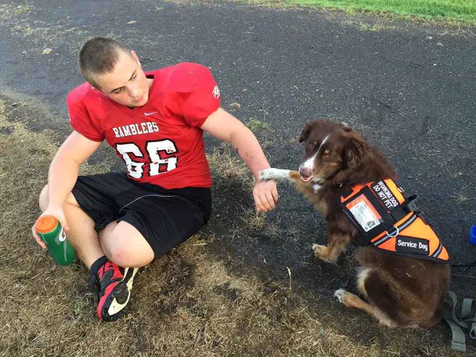 dog and teen