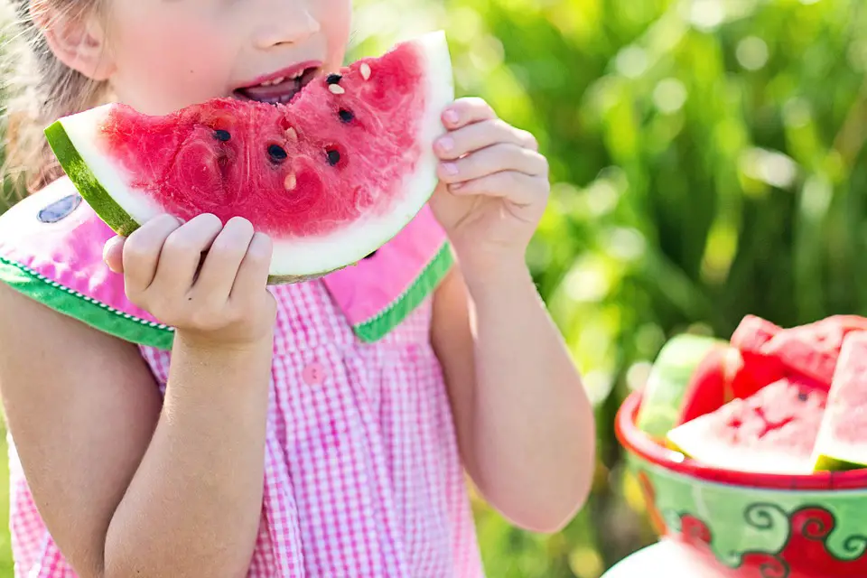 watermelon seeds