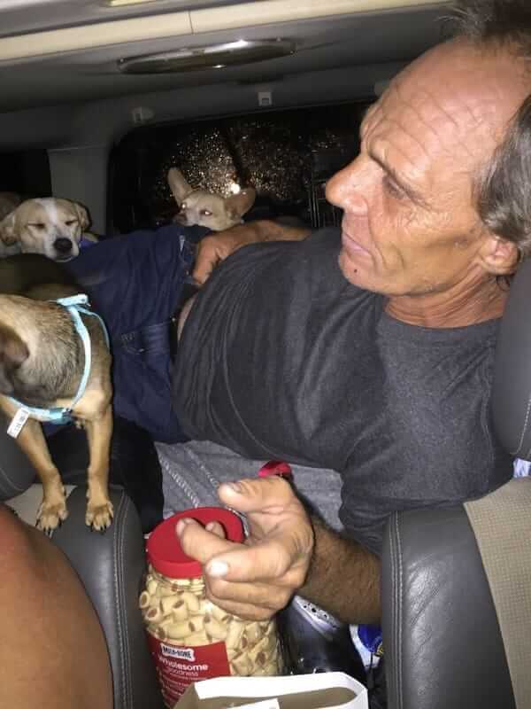 homeless man and stray dogs