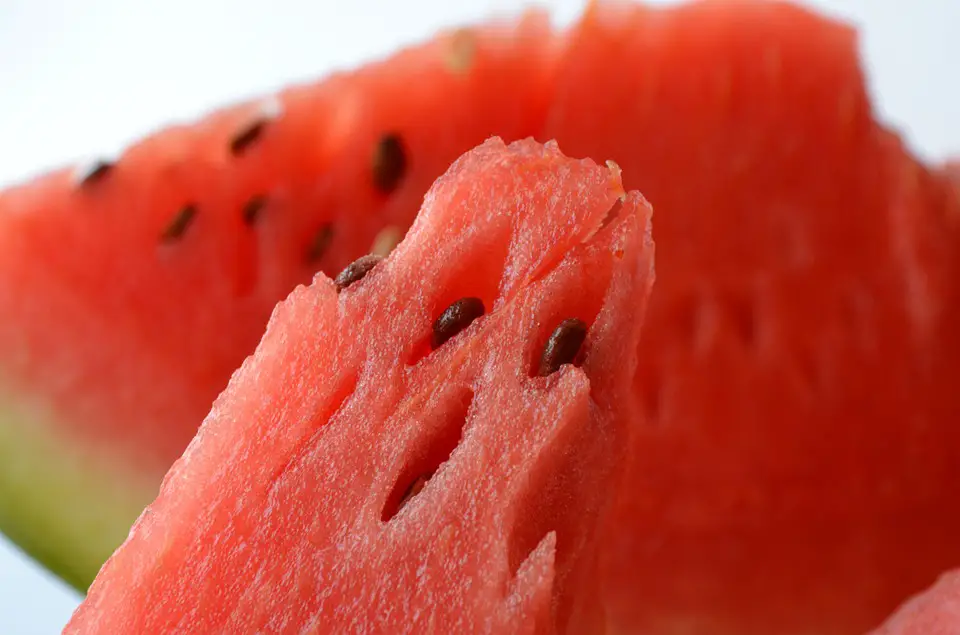 watermelon seeds