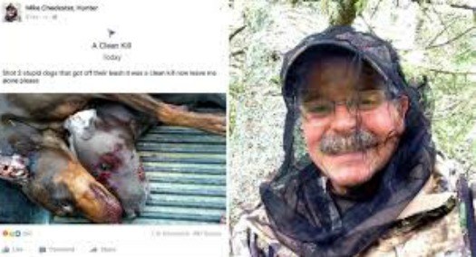 hunter killed dogs