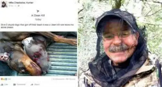 hunter killed dogs