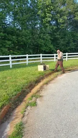 dog rescued from box