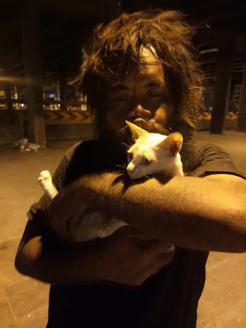 stray cat lover