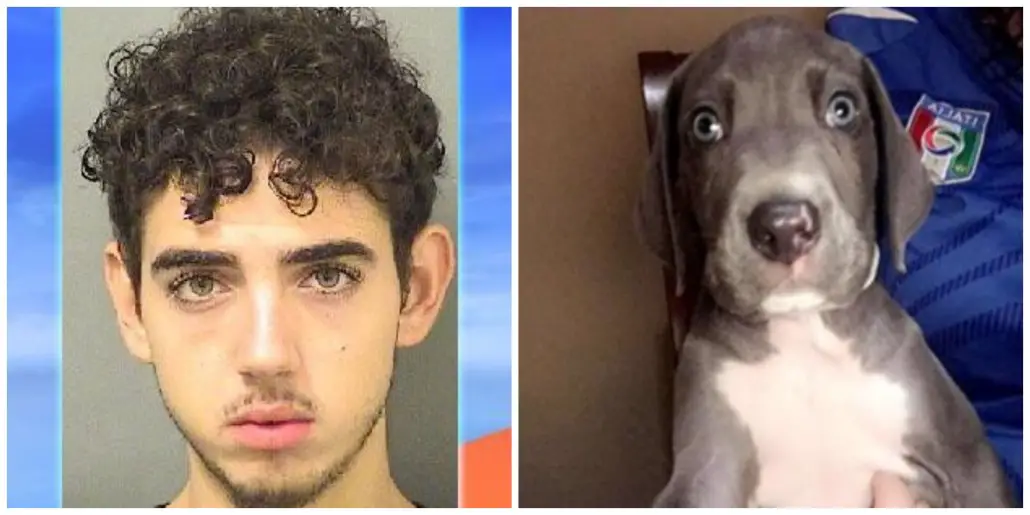 teen beat puppy to death