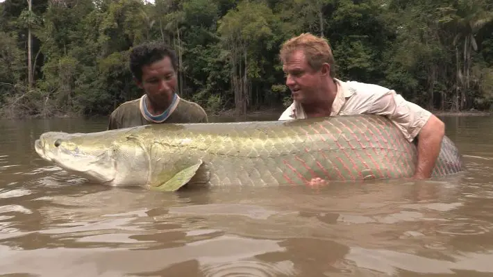 man catches big fish