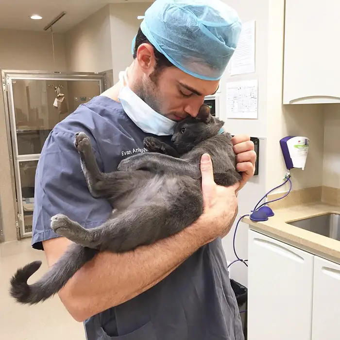 job cuddling kittens