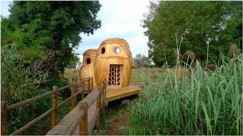 cabins like owls