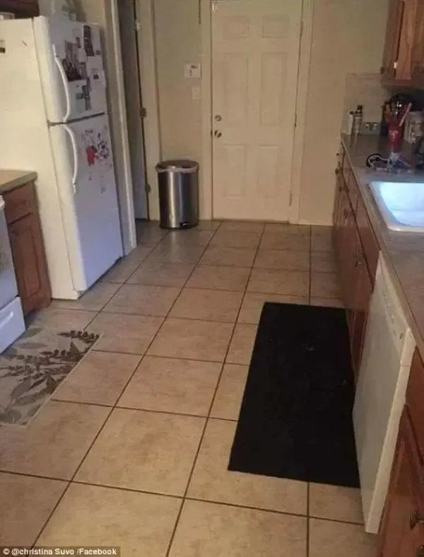 dog hiding in kitchen