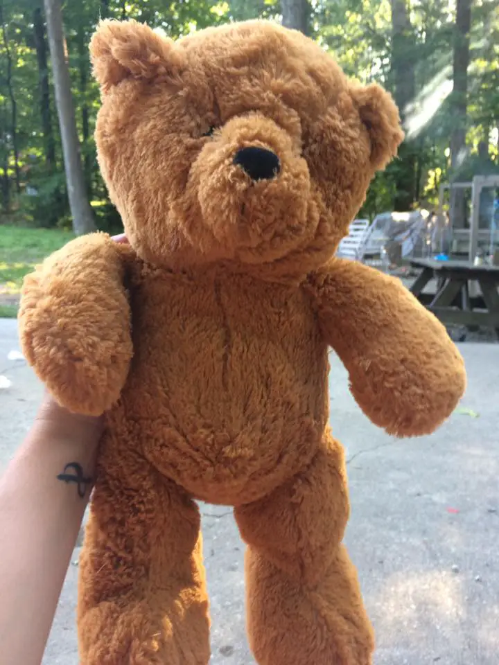 lost teddy bear