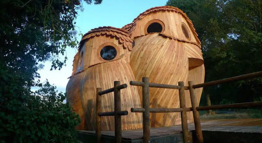 cabins like owls