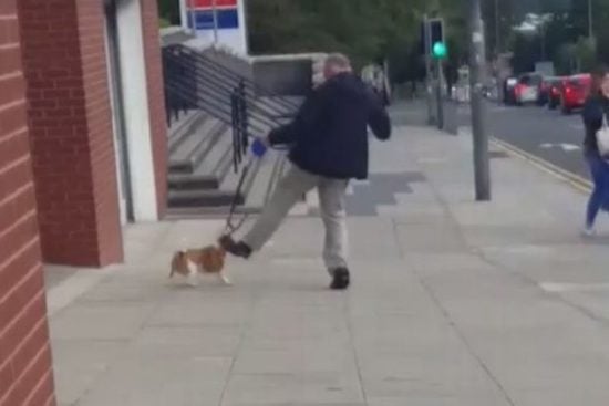 man kicking dog