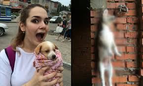 teens torture animals