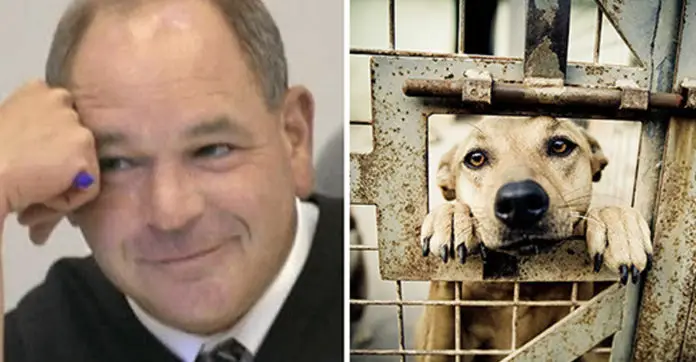 animal-abusers-own-medicine