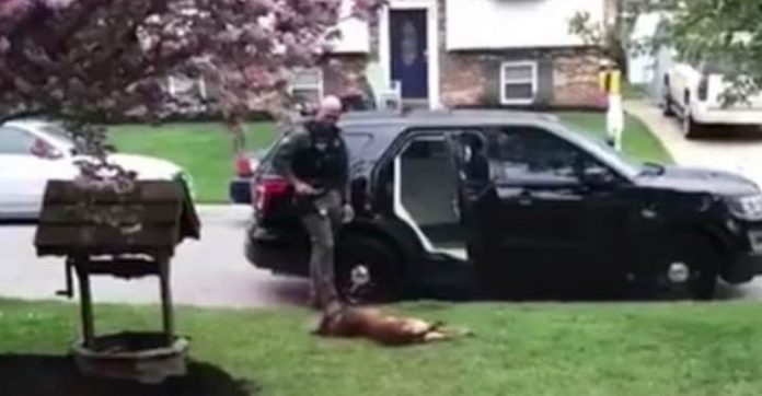police-k9-wont-get-in-the-car
