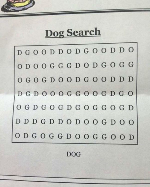 dog search puzzle