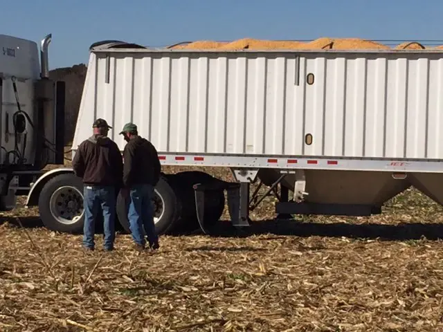 farmers help harvest