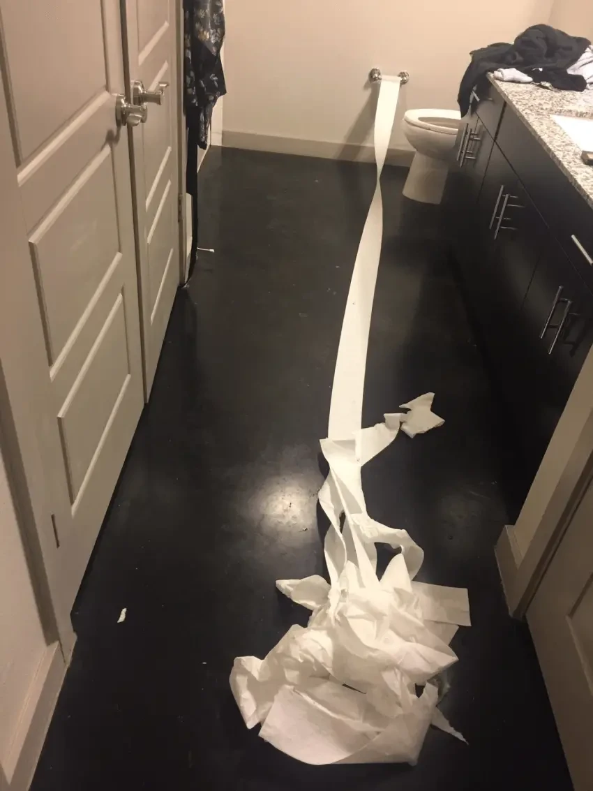 puppy toilet paper