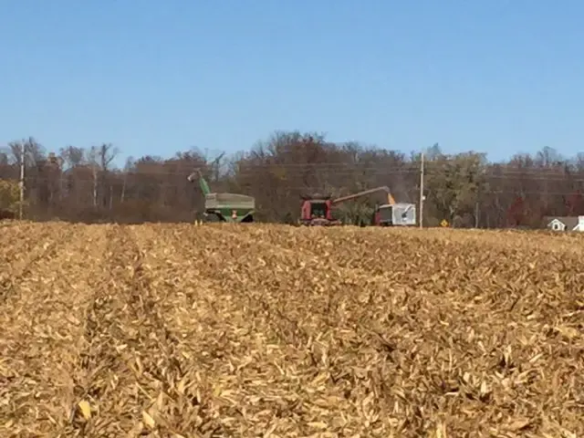 farmers help harvest