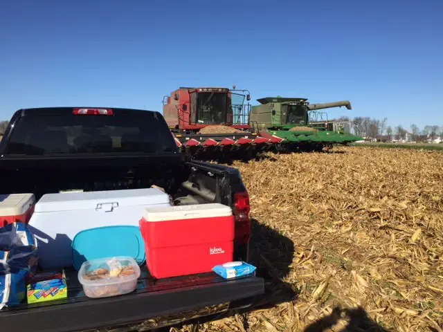 farmers help harvest