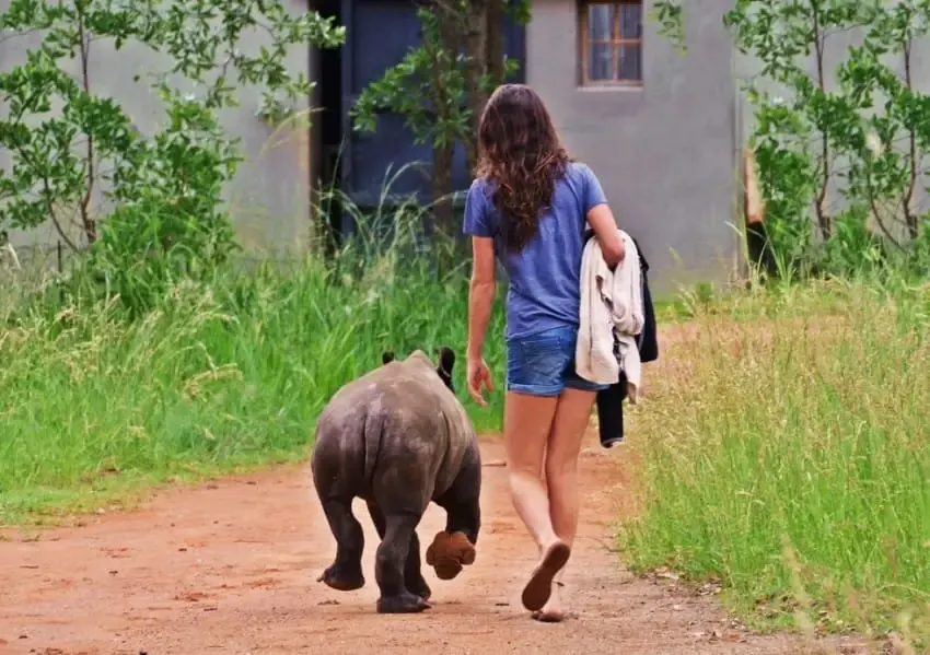 baby rhino rescued