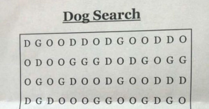 Can-You-Find-The-Dog