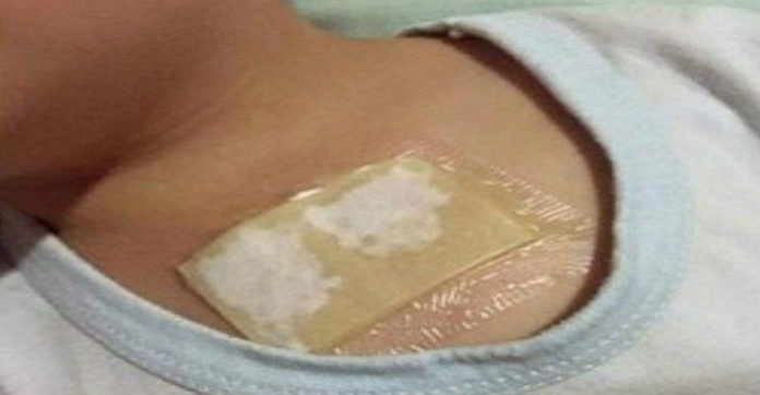 diy-honey-wraps