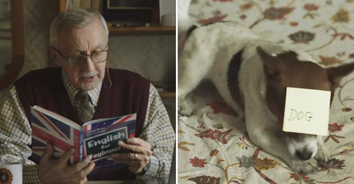 english-for-beginners-christmas-ad