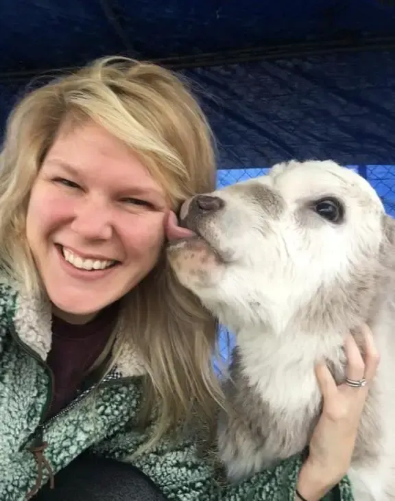 baby and cow