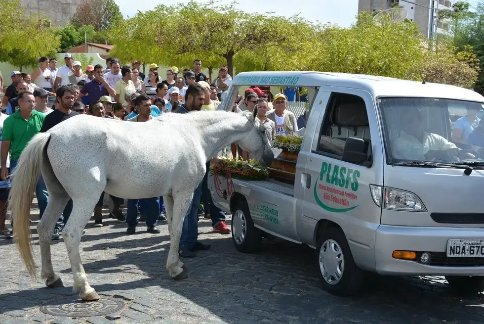 horse cries at funeral