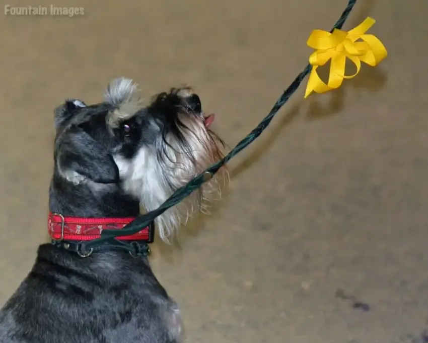 yellow ribbon