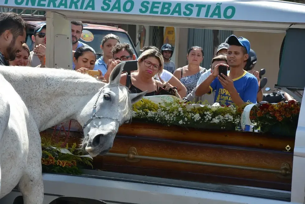 horse cries at funeral
