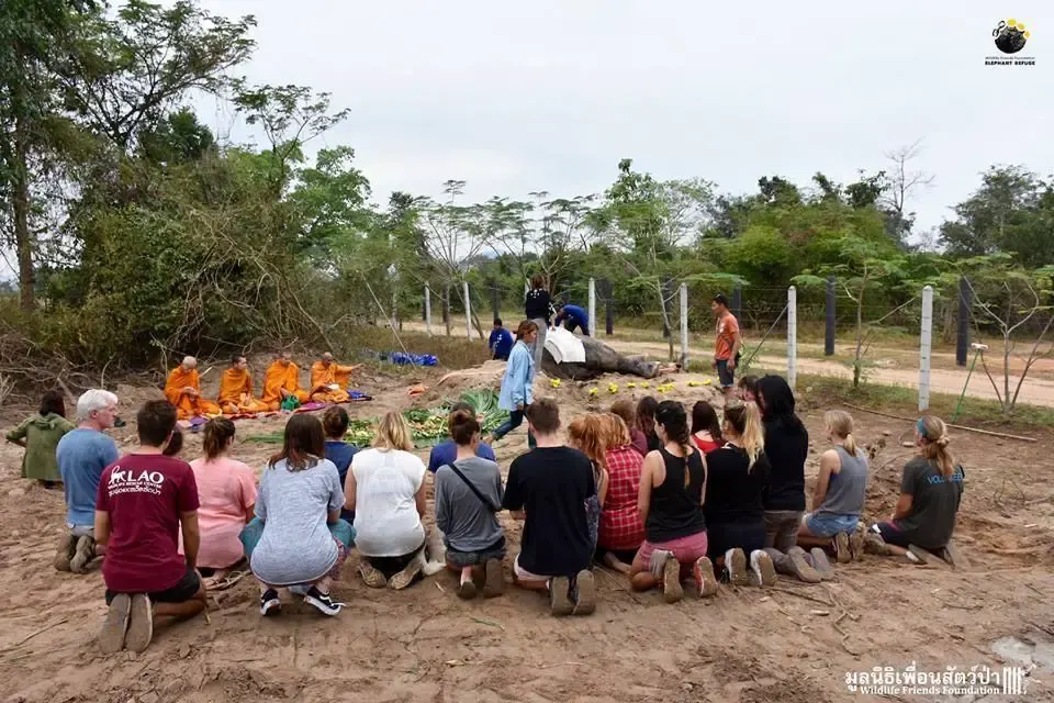 elephant funeral